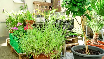 Soul Kitchen - wo Lebensfreund und Genuss Zuhause sind