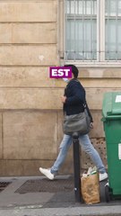 Guide complet sur les couleurs des poubelles pour le tri sélectif ! (Exclusivité Dailymotion) #dailysemetauvert