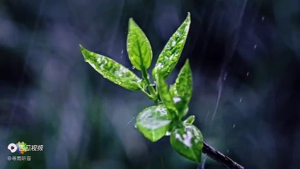 Som de chuva para aliviar o Estresse e Dormir