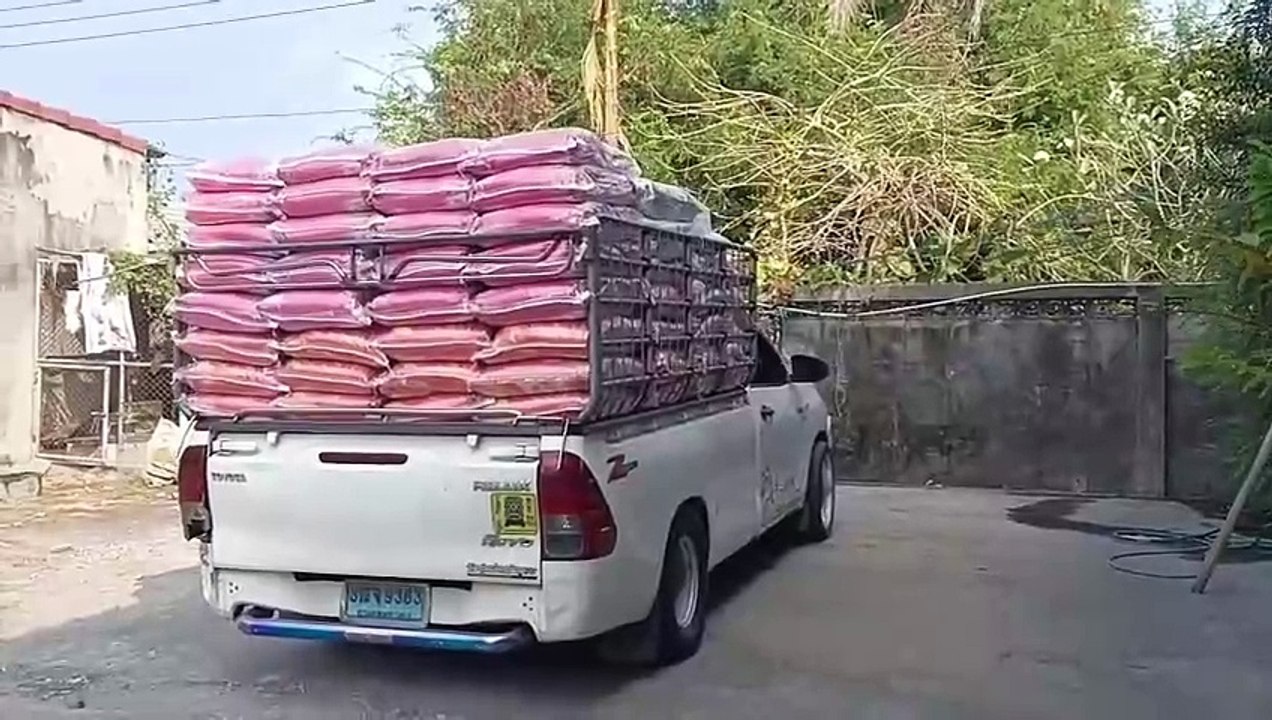 Diesel Estetik #1 Sanang Sanangkan Badan