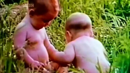 Steve Jobs: Billion Dollar Hippy (2011)