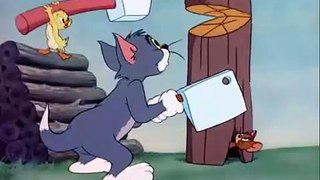 Tom and Jerry cartoon episode 47 - Little Quacker 1950 - Funny animals cartoons for kids