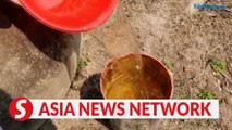 Vietnam News | Struggling with saltwater intrusion