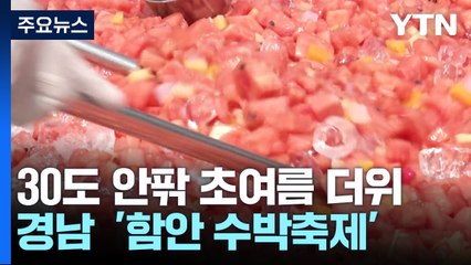 수박도 먹고 강바람도 쐬고...'더위야 물렀거라' / YTN