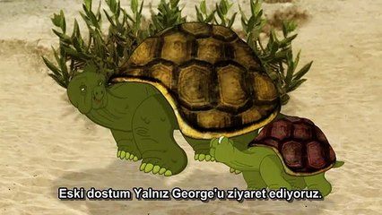 Yalnız George neden bu kadar yalnız ?
