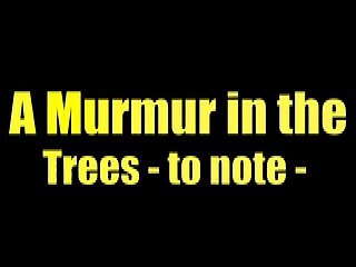 The Dam - Emily Dickinson - A Murmur in the Trees to note