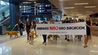 Protesto #todospelojoca pede justiça e reúne dezenas de cães no Aeroporto de Florianópolis
