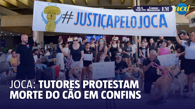 Manifestantes protestam contra morte do cão Joca no Aeroporto de Confins