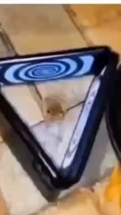 ضفضع مضحك ههههه