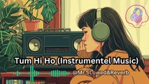 Tum Hi Ho  Aashiqui 2  Instrumental Cover tumhiho instrumentalmusic viral slowedandreverb_1080p