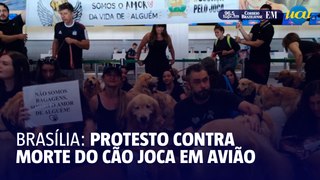 Manifestantes protestam contra morte do cão Joca no Aeroporto de Brasília