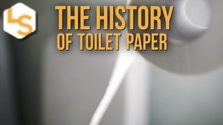 What Did Ancient Humans Use For Toilet Paper?