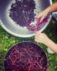 Discover Natasha Andrews on Instagram 📸