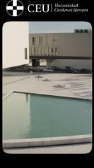 Campaign "Hazlo Real" OPPIS street Valencia (Facilities)