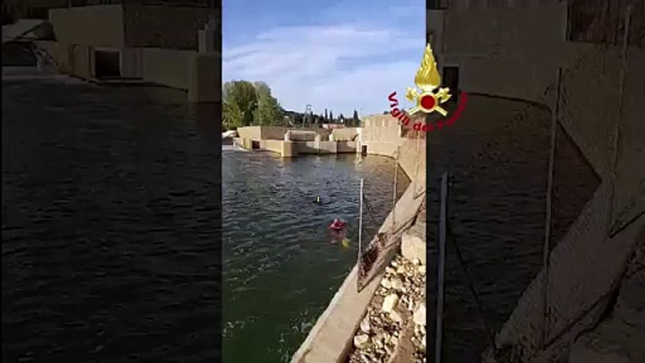Firenze, i vigili del fuoco salvano un cane caduto nell'Arno