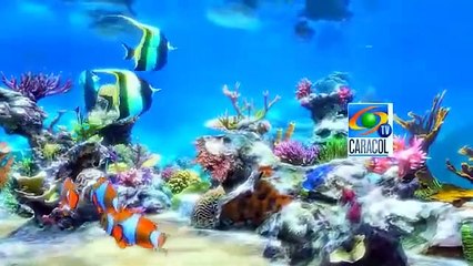 Fin de la emisión del canal Caracol año 2003.