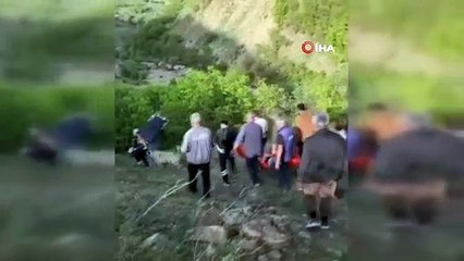 Hayvanlarını otlatırken ayı saldırısına uğradı!