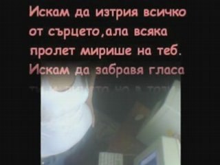 Hilarious Moments to Brighten Your Day 😂