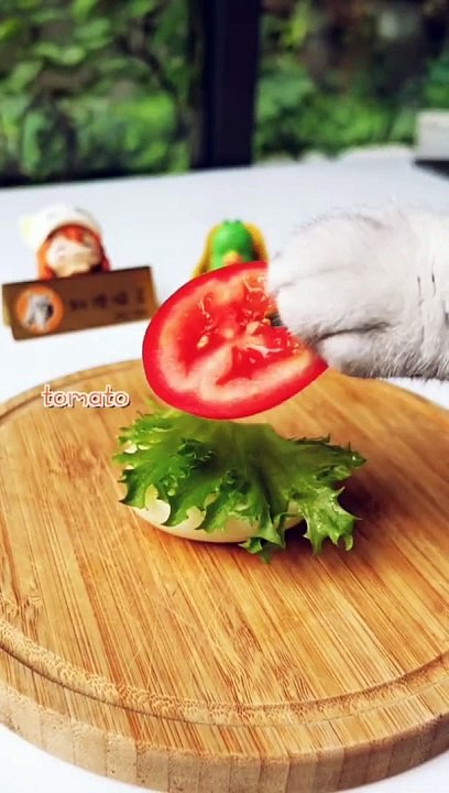 MIra lo Que Comen #7 2024