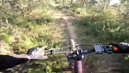 Sudlub24- garussiere