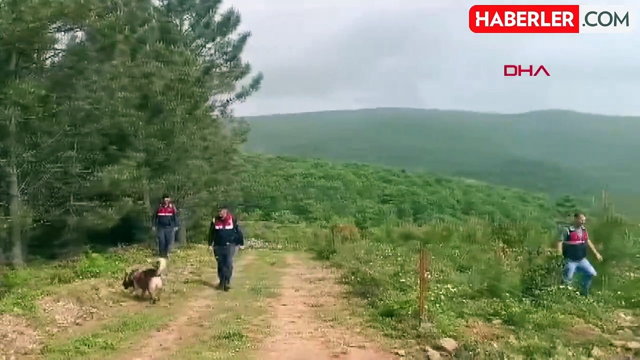 Kayıp ekonomist Korhan Berzeg'in kafatasına ait olduğu değerlendirilen parça bulundu