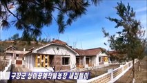 Ato de mudança para novas moradias na Fazenda de Cultivos Industriais Sang-i do condado de Kujang