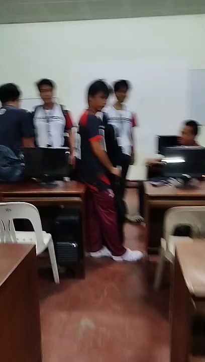 Surveying my classmates