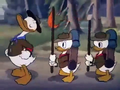 Pato donald Buenos exploradores. Dibujos animados de Disney espanol latino. Caricaturas