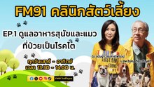 ดูแลอาหารสุนัขและแมว ที่ป่วยเป็นโรคไต EP.1 : FM91 คลินิกสัตว์เลี้ยง : 27 เมษายน 2567