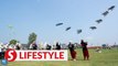 Professional kite pilots compete in central China grasslands
