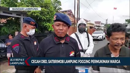 下载视频: Cegah DBD, Satbrimob Lampung Fogging Permukiman Warga