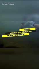 Berenang Bersama Anaconda