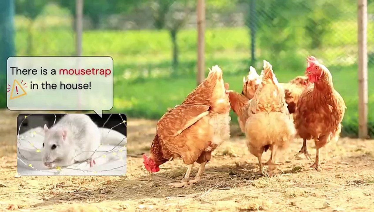 Is Someone in Need of Help? Don't Turn a Blind Eye! क्या किसी को मदद की ज़रूरत है? आंखें मत मूंदें!