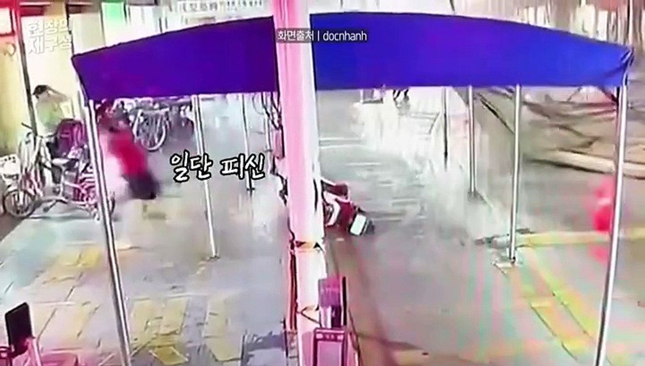 [현장의재구성] 백 년만 홍수 & 살인 우박…지구에 무슨 일이