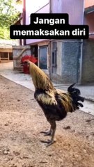 don't like to force yourself