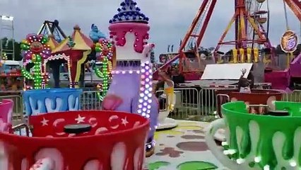 I Built a Theme Park In My House!-