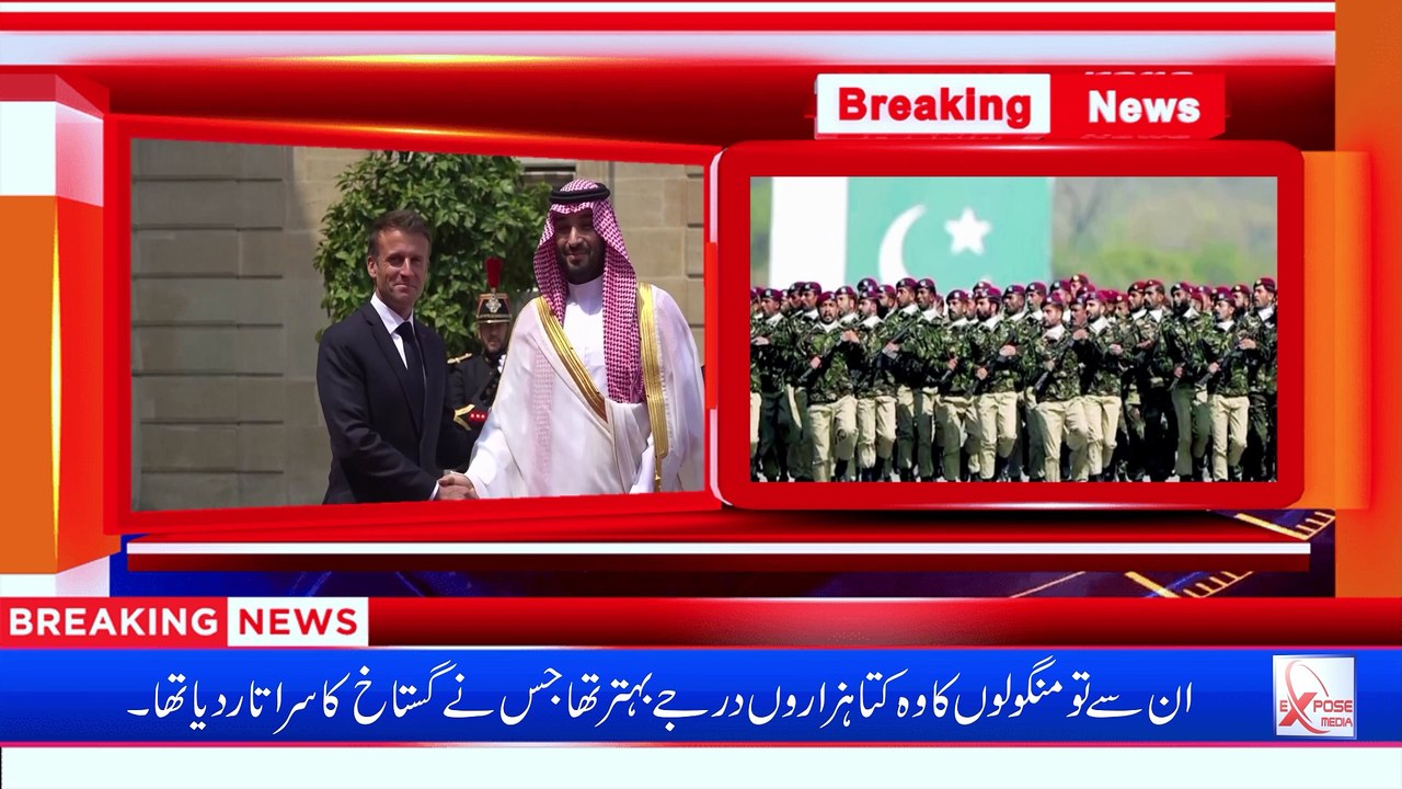 Muslim Rulers ! Dogs of France