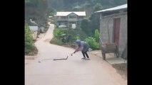 Insecticides kill venomous snakes