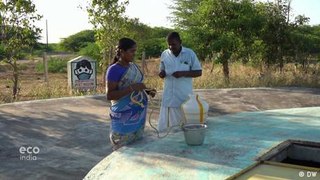 Tamil Nadu turns to ancient art of rainwater harvesting