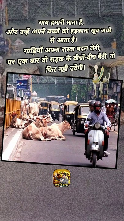मान जाओ गऊ माता   #shorts #shortsfeed #gaumata #cowmother #ShriKaviKumar