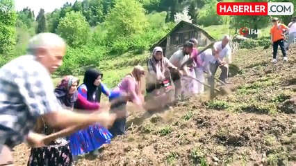 Kuşdili ile imece geleneği yaşatılıyor