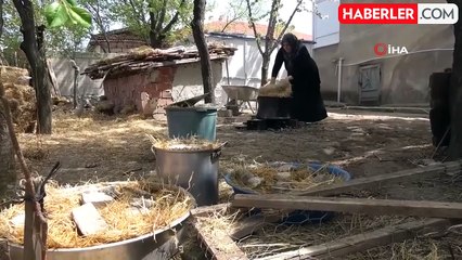 Mantar Üreticisi Kadın, Bahçesinde Geçimini Sağlıyor