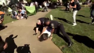 ‘I barely did anything’_ Video shows Emory professor thrown to the ground, arrested during protes...