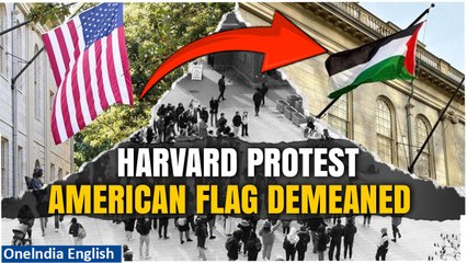 Download Video: Harvard Student Protestors Fly Palestinian Flag Over American Flag Spot, Netizens Fume|Oneindia News