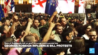 20,000 Georgians march 'for Europe', protest controversial bill