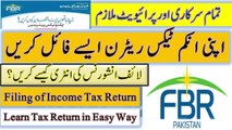 How Govt and Private Servants can file Income Tax Return online in iris fbr || Income tax 2023 FBR