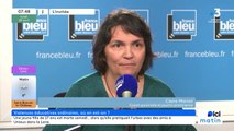 Violences éducatives ordinaires : Claire Marsot, coach parentale