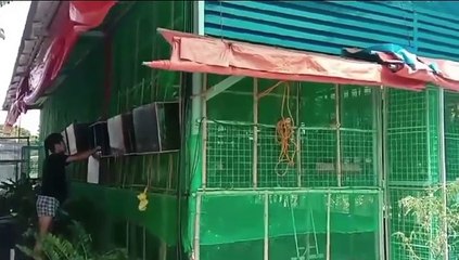 Farm Life... Last part for today