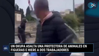 Un okupa asalta una protectora de animales en Figueras e hiere a dos trabajadores