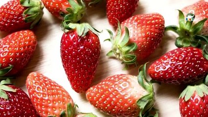 Fruits names in English | Kids vocabulary | English Educational Video | Bright Spark Station